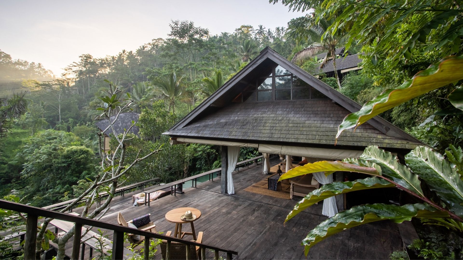Rainforest